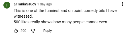 A YouTube comment.